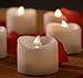 Flickering Flameless Candles - 12 Romantic Battery Operated Candle, Decorative LED Powered Tea Lights W/ Unscented Fake Rose Petals Bulk, Realistic Electric Window Votives, Tealight Holders & Lantern