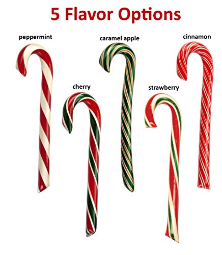 Giant Candy Canes, Peppermint Holiday Candy (12pk) Christmas Hard Candy by Hammond's Candies Gourmet Candy Peppermint Sticks, Handmade in Small Batches since 1920