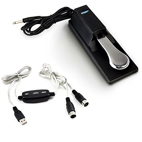 HQRP Sustain Pedal and USB-MIDI Cable for Roland BK-5, BK-9, C-200, C-230, FA-06 Keyboard Footswitch Damper Interface + HQRP Coaster