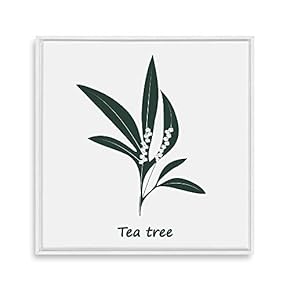 Framed Canvas Wall Art for Living Room, Bedroom Nordic Style Plants Theme Canvas Prints for Home Decoration Ready to Hang - 16x16 inches