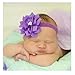 12PCS Baby Headbands Flower Hairbands 3.5Inch Hair Bows with Rhinestones Hair Accessories for Baby Girls Toddlers Infant Newborns