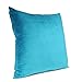 Shinnwa Velvet Super Soft Decorative Throw Pillow Case Solid Twin Side Cushion Covers for Bench, 18
