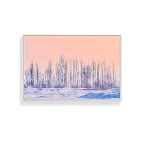 NWT Framed Canvas Wall Art for Living Room,...