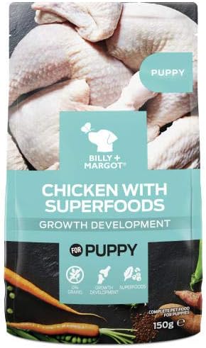 labradoodle hip dysplasia