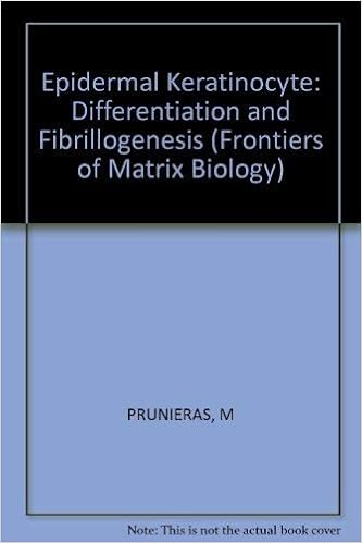 Epidermal Keratinocyte Differentiation And Fibrillogenesis - 