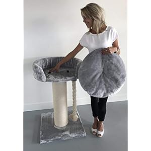 Tiragraffi per gatti grandi xxl Chartreux Grigio Chiaro maine coon robusto adulti grande gatto albero enormi giganti XL