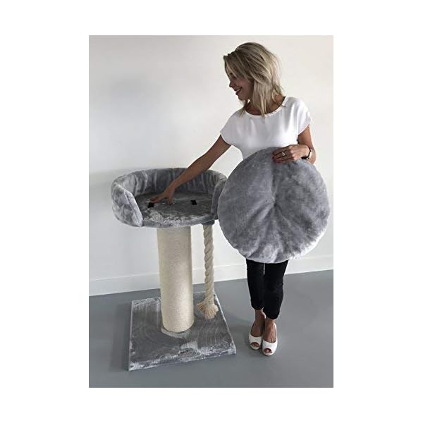 Tiragraffi per gatti grandi xxl Chartreux Grigio Chiaro maine coon robusto adulti grande gatto albero enormi giganti XL