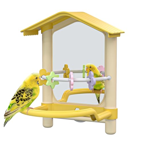 BAGHPBM B0018 Bird Mirror