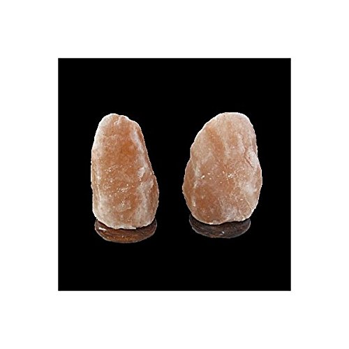 Himalayan Salt Lamp