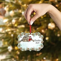 Hermann's Tortoise Christmas Ornament 2024