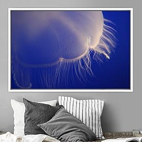 signwin Framed Canvas Wall Art Jellyfish Floating Colorful...