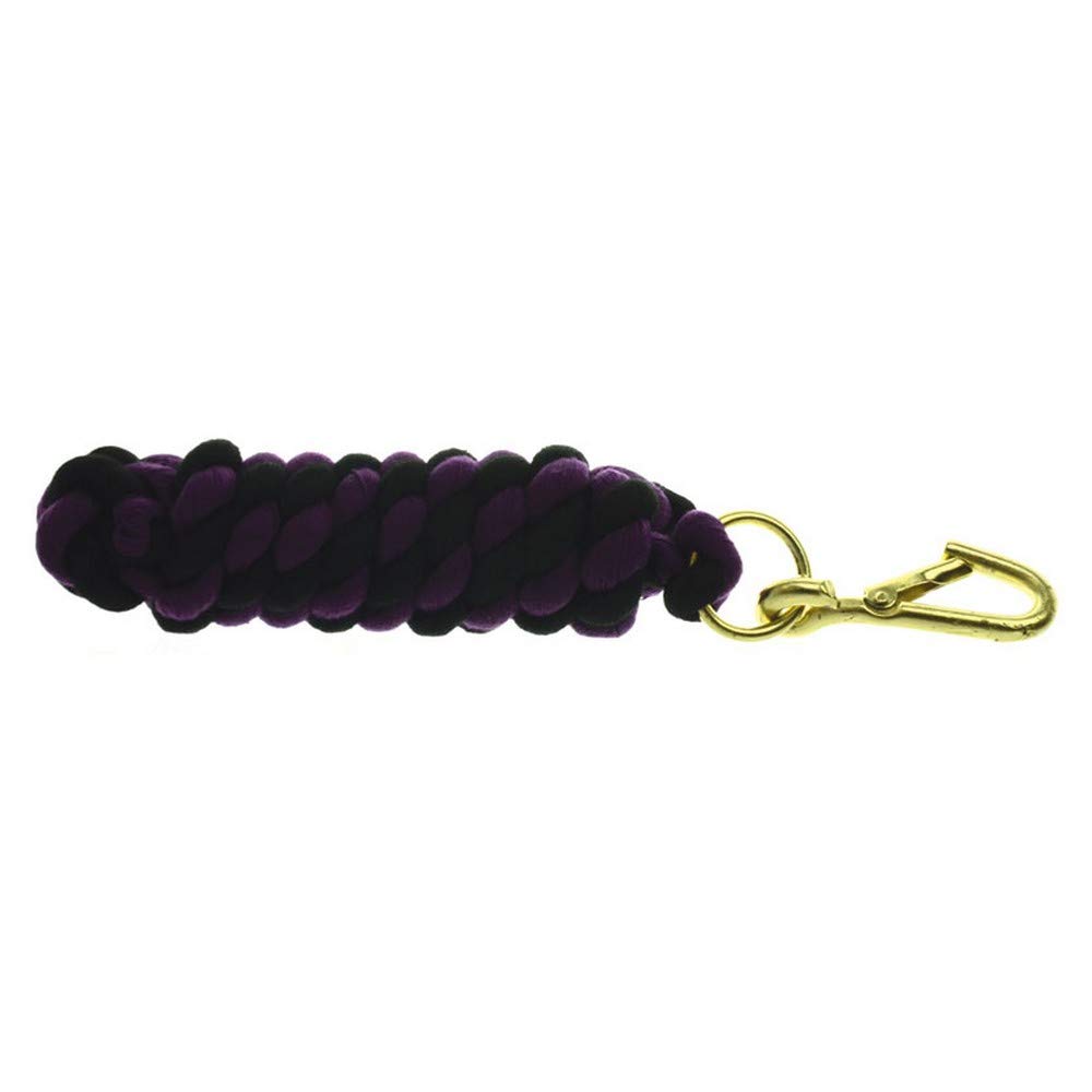 Y-H 5027286103510 Two-Tone Twisted Lead - Viola/Nero