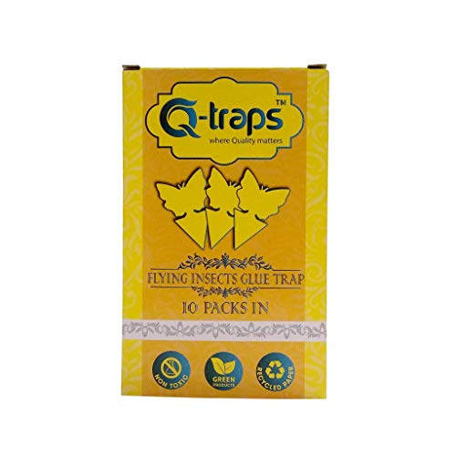 Qtraps Sticky Insect Traps - Yellow Flying Bug Catcher for Indoor House Plant, Organic Garden, Outdoor Greenhouse & More - Butterfly Shaped Paper Trap w/Eco Friendly, Non Toxic Glue-10 Pack (1) Qtraps Sticky Insect Traps - Yellow Flying Bug Catcher for Indoor House Plant, Organic Garden, Outdoor Greenhouse & More - Butterfly Shaped Paper Trap w/Eco Friendly, Non Toxic Glue-10 Pack (1)
