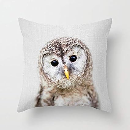 Amazon Com Zippered Pillow Covers Pillowcases 18x18 Inch Baby Owl