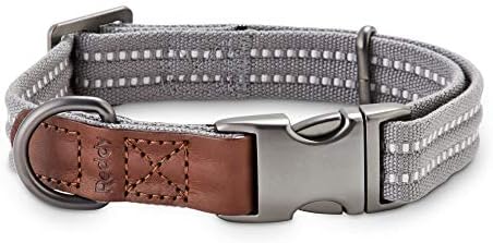 Reddy grey webbed dog collar Clearance
