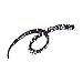 Shiseido Eyebrow Pencil  Black