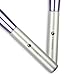 L COSMETIC(TM) Makeup Brushes Set Professional 10 Pcs Eyeshadow Lip Concealer Powder Brushes Kit Cosmetics Brush Set with Travel or Home Use ( Purple+Silver)