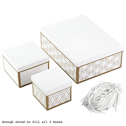Hallmark Nested Gift Boxes with Lids and Fill (Set of 3, White and Gold, Assorted Sizes) for
