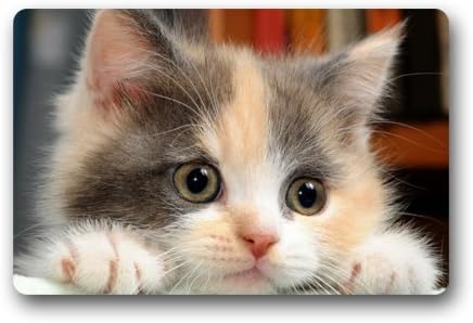 Cute Baby Cat Kitty Face Funny Animal Doormats Entrance Mat Floor Mat Door Mat Rug Indoor/Outdoor/Front Door/Bathroom Mats Rubber Non Slip (23.6"x15.7",L x W)