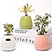 Modern Flower Pot, Ceramic Succulent Pots, 3 Inch Pots for Plants with Drainage, Set of 3 Plant Pots Indoor