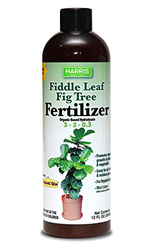 Harris Fiddle Leaf Fig Tree Fertilizer, 12oz