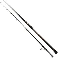 penn carnage 2 surf rod