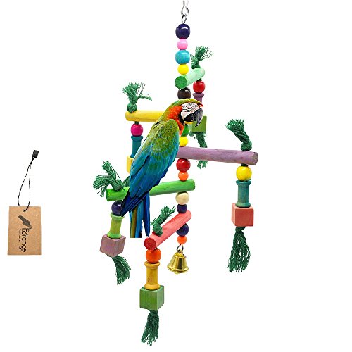 Borange Bird Toy Parrot Perch Cockatial Colorful Wooden Stand Swing Hanging Bridge Climb for Parakeet Budgie Conure Small Bird
