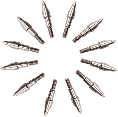 BOWCORE Stainless Steel 9/32" Screw Field Points 1 dozen (95 Grains Silver)
