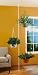 Indoor Plant Pole primary