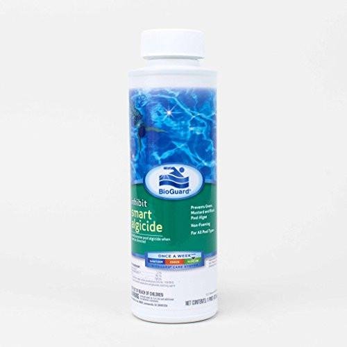 9 best algaecide clarifier clorox for 2019 Klubem Reviews