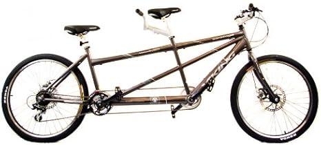 viking saratoga tandem