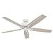 Hunter Indoor Ceiling Fan with LED Light and pull chain control - Donegan 60 inch, Onyx Bengal, 54170