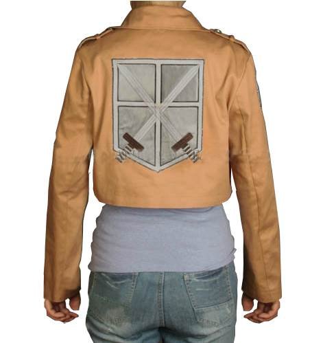 Attack On Titan Shingeki No Kyojin 