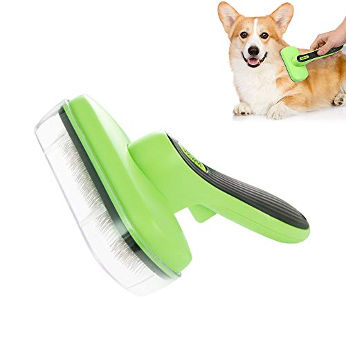 Top 10 Best Rabbit Grooming Brush of 2019 Review Best Pet Pro