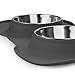 Double Dog Cat Bowls 2 Stainless Steel with No Spill Non-Skid Silicone Mat, Pet Food Water Feeder Bowl for Small Medium Large Dogs, Puppies, and Pets