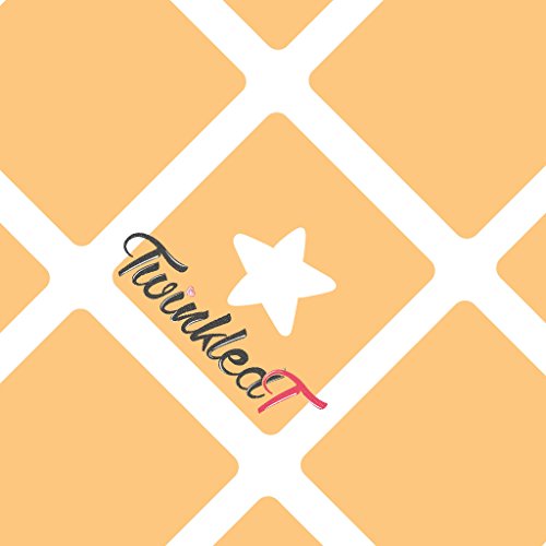 Single Star Vinyls By Twinkled T - 1 Sheet of 24 Vinyls