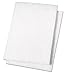Boardwalk 98BWK LD 6 in. x 9 in. Light Duty Scour Pad - White (20/Carton)