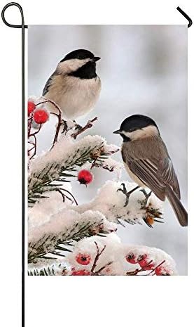 Amazon Com Afagahahs Happy Birthday Have Too Much Fun Cute Girls