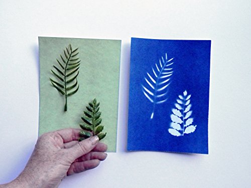 Cyanotype 5" x 7" Paper - 12 Pack (White)