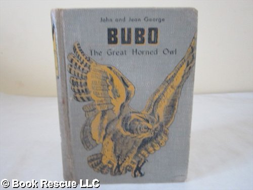 BUBO THE GREAT HORNED OWL