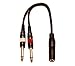 9 Inch Long 1/4 Inch Stereo TRS Female to 2 X 1/4 Inch Male Mono Y Splitter Cable
