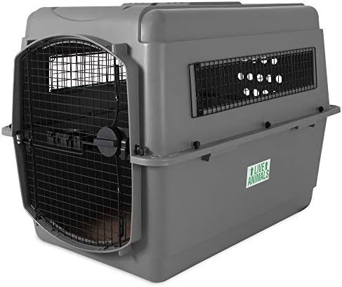 petmate sky kennel airline cargo crate
