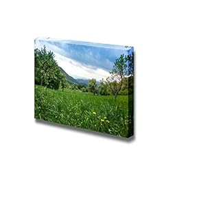 Canvas Prints Wall Art - Dandelions in Green Grass in Untouchable Nature Field | Modern Wall Decor/Home Decoration Stretched Gallery Canvas Wrap Giclee Print & Ready to Hang - 12" x 18"