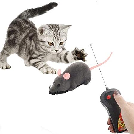 rc cat toy