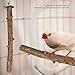 Bird Perch Birdcage Stand Wooden Paw Grinding Toy Pet Parrot Chew Hanging Cage Toy(335cm)thumb 1