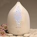 SpaRoom Galaxy Ultrasonic Essential Oil Diffuser, 1.15 Pound