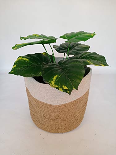 Wonderland Jute Bag Planter