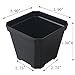 BangQiao 3.90 Inch Plastic Flower Pots for Plants,Cutting,Seedlings, Pack of 10 (black)