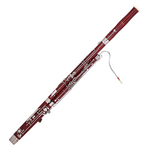 Top 10 Woodwind Instrument Reeds of 2020 No Place Called Home