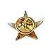WizardPins Gold Star Lapel Pin- 1 Piece